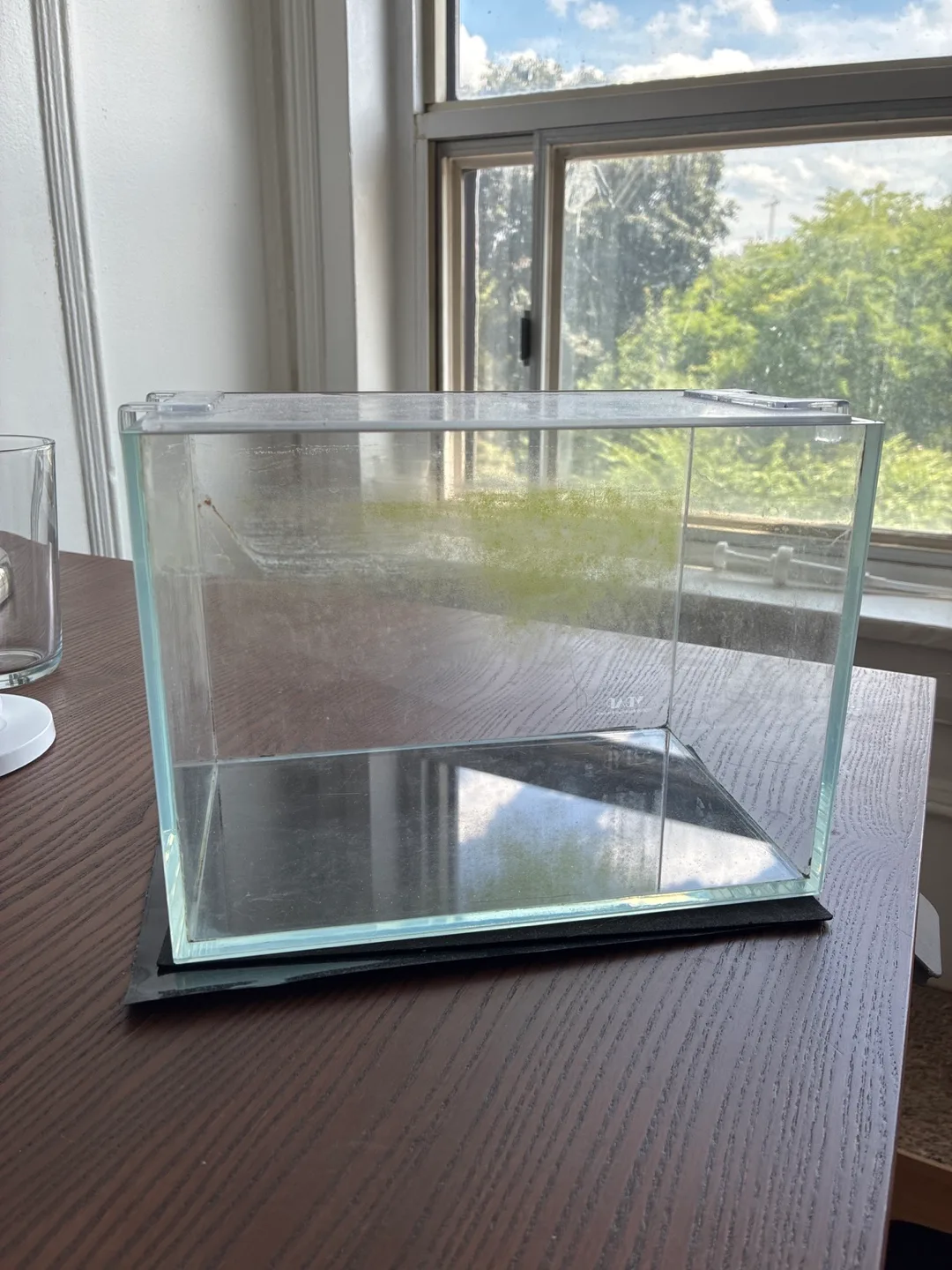 Small Glass Aquascaping Tank thumbnail