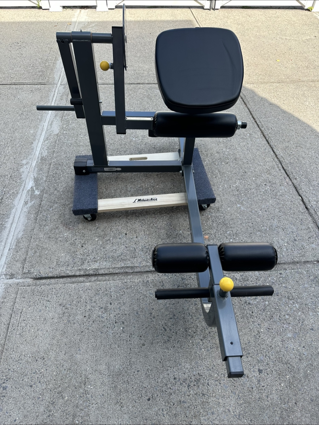 Milwaukee Hyperextension Roman Chair - photo 2