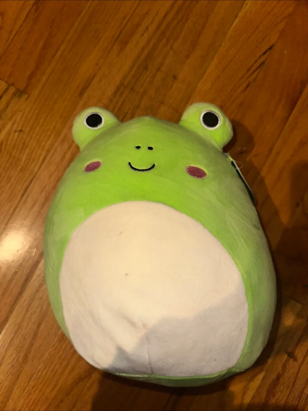 Squishmallow Frog Plush thumbnail