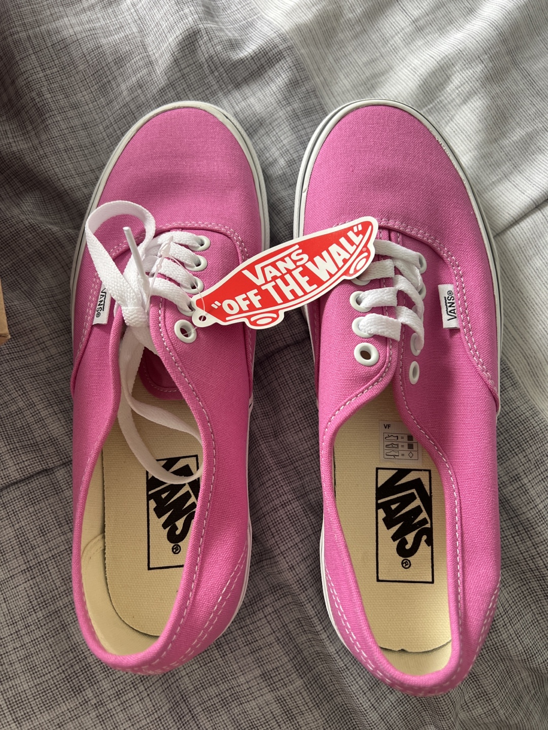 Vans Authentic Pink Canvas Shoes