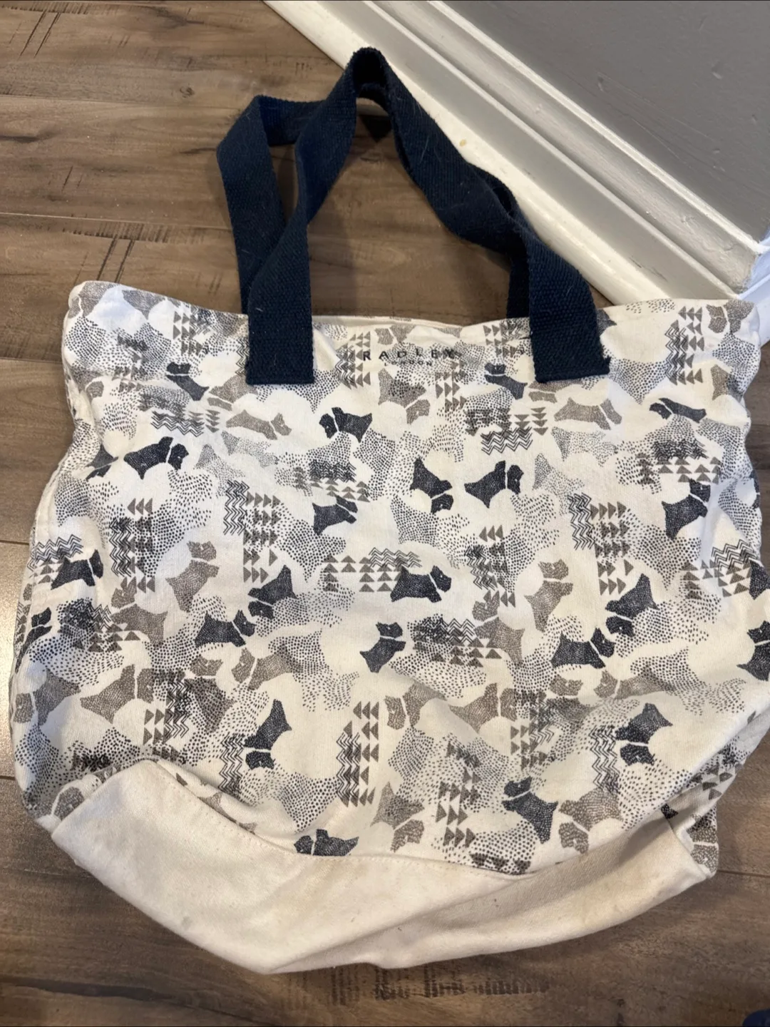 Free- Radley London Canvas Tote Bag 🇨🇦 thumbnail