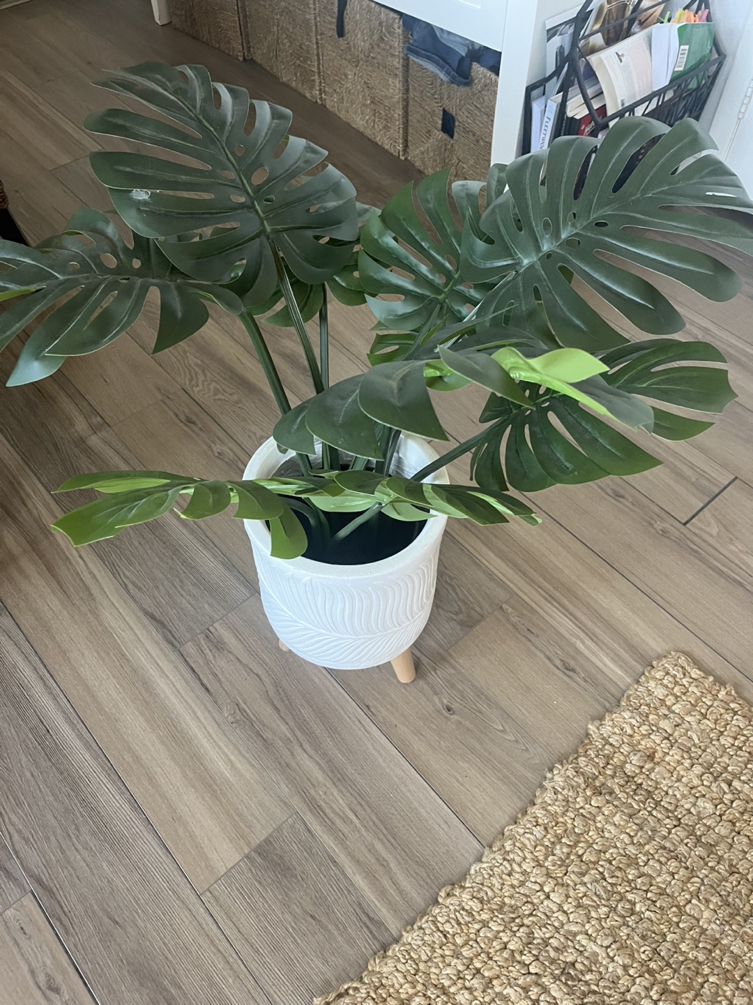 Faux Monstera Plant in White Pot