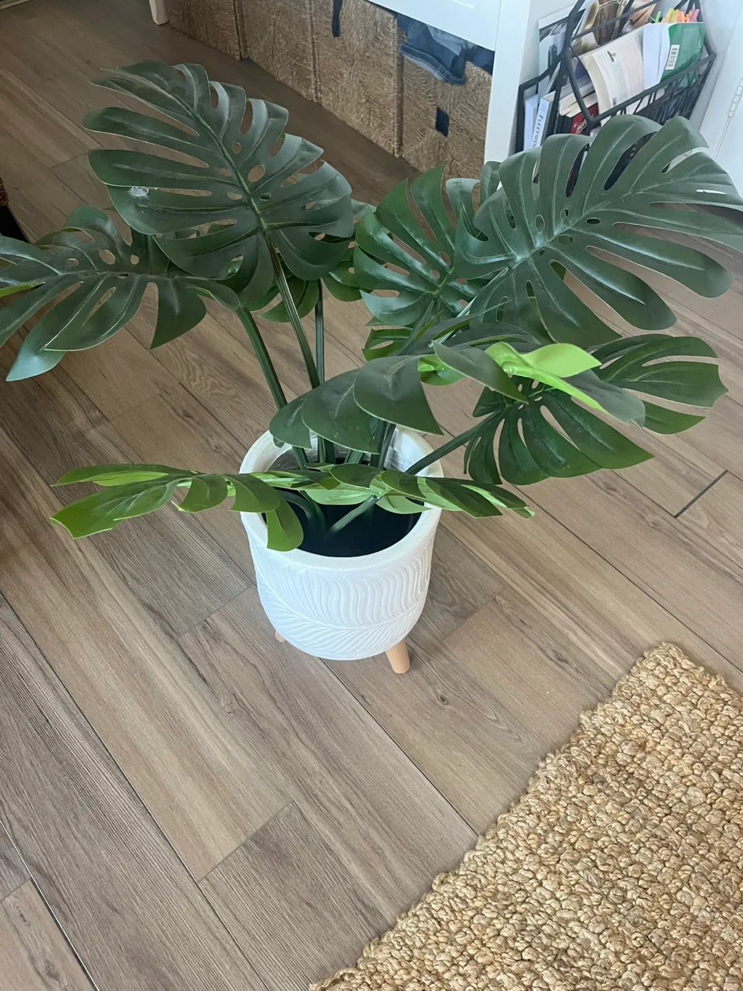 Faux Monstera Plant in White Pot thumbnail