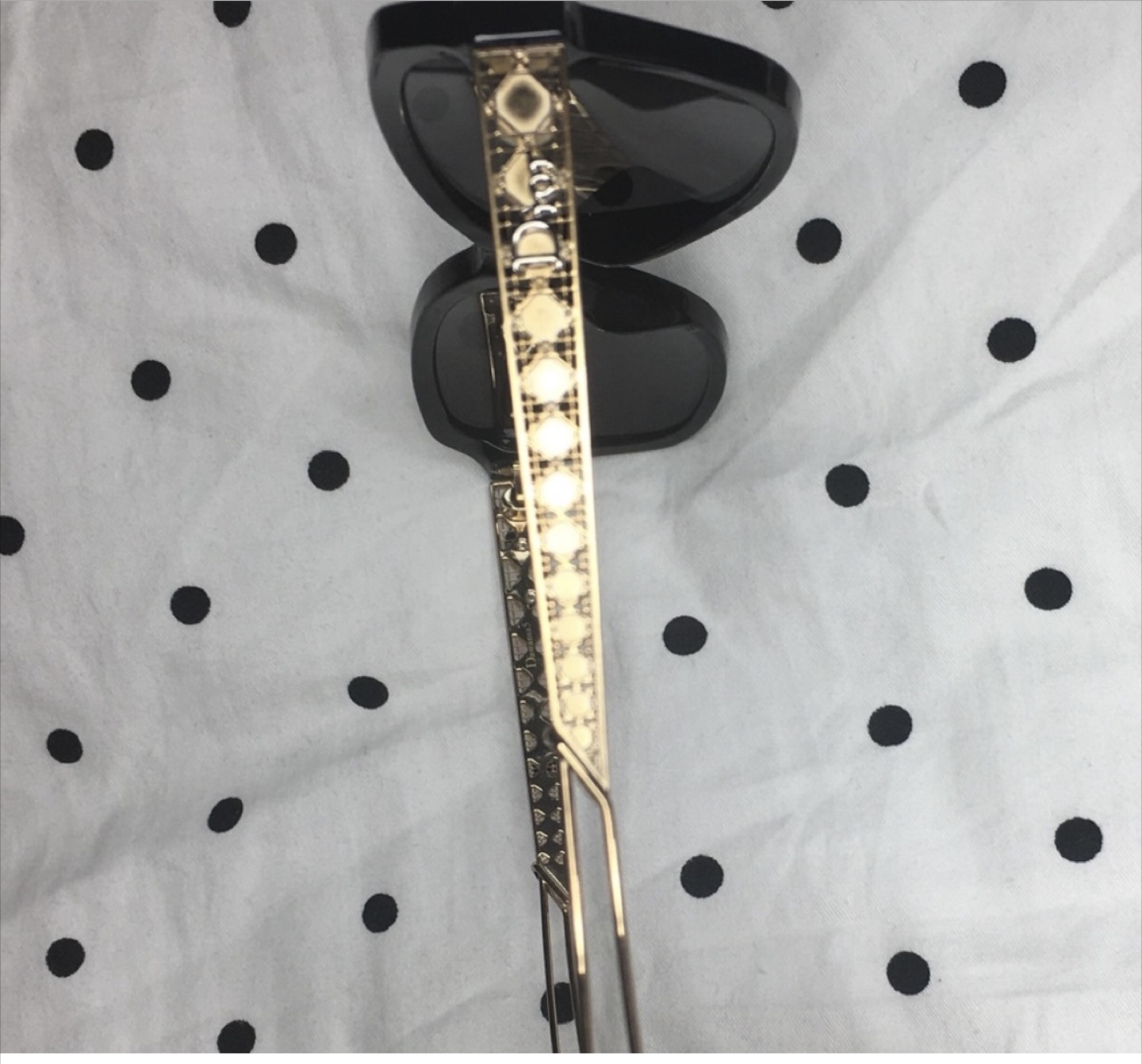 Dior Sunglasses with Case