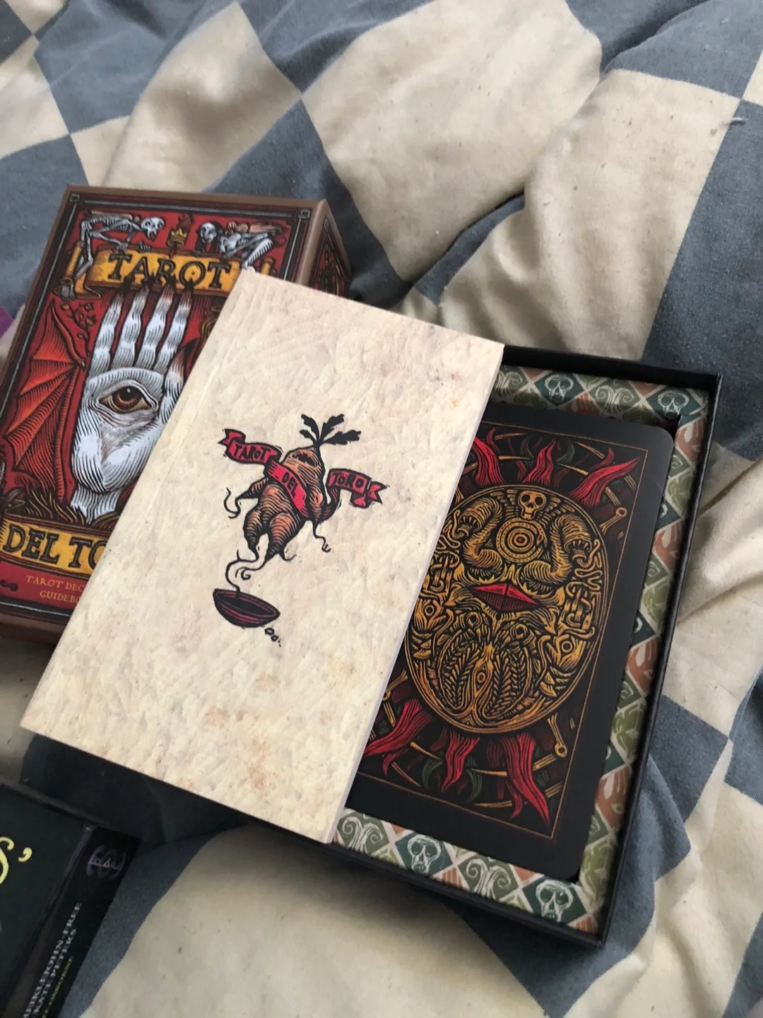 Tarot Del Toro Deck & Guidebook image indicator(2)