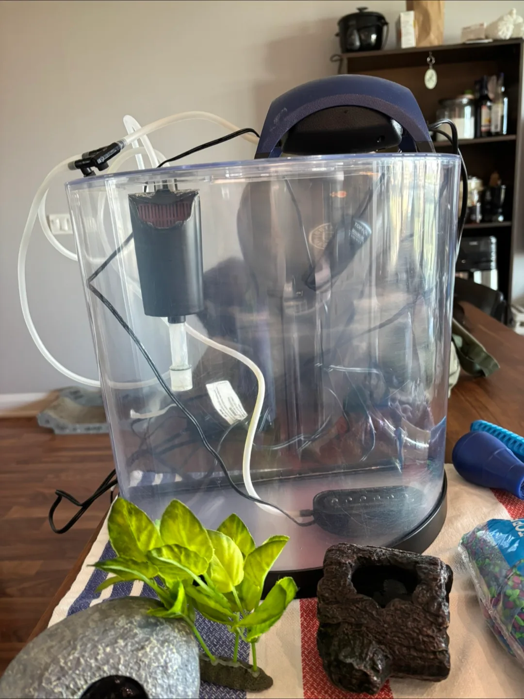 Betta Fish Tank Kit (fish not included!) image indicator(6)