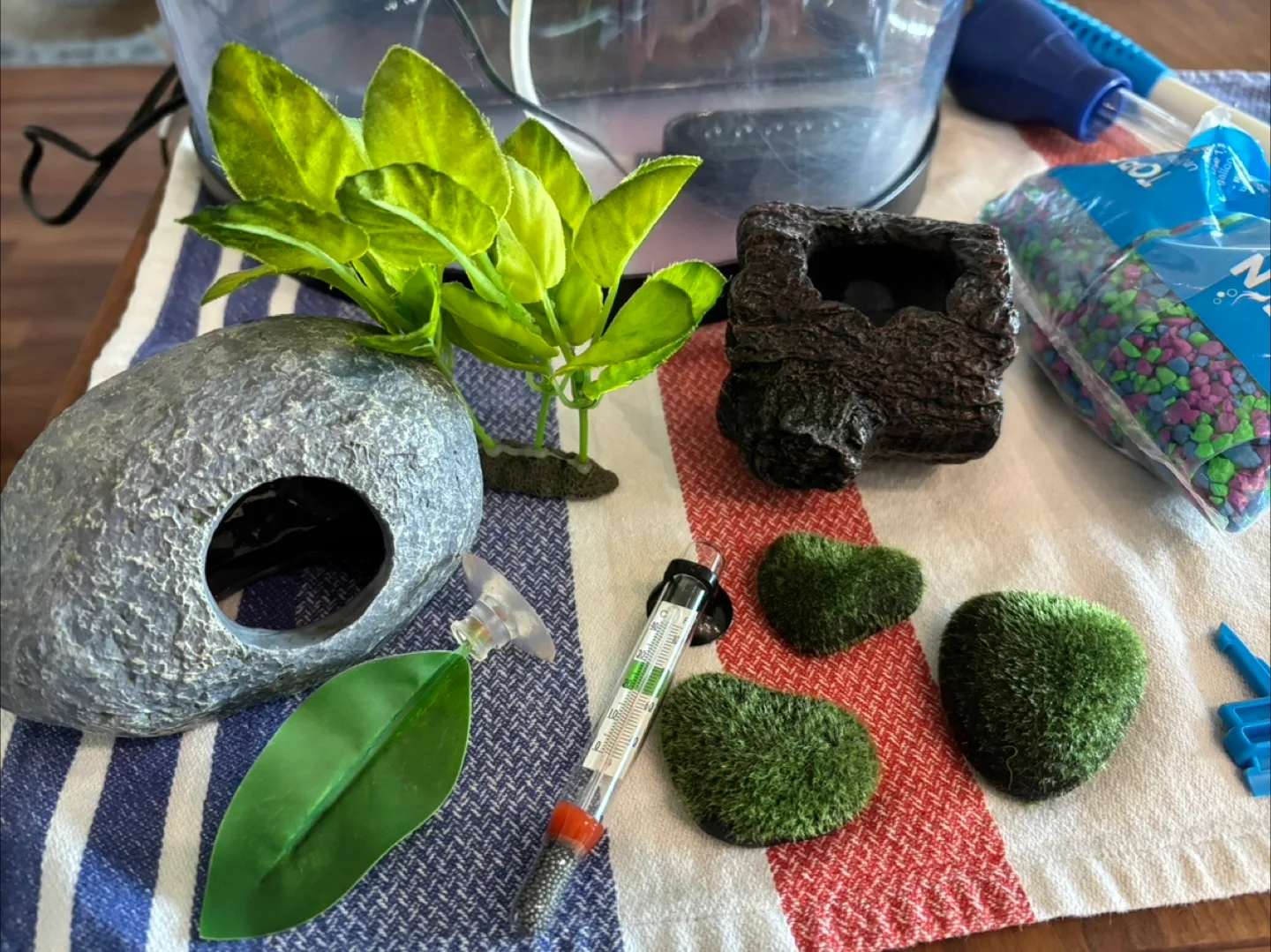 Betta Fish Tank Kit (fish not included!) thumbnail