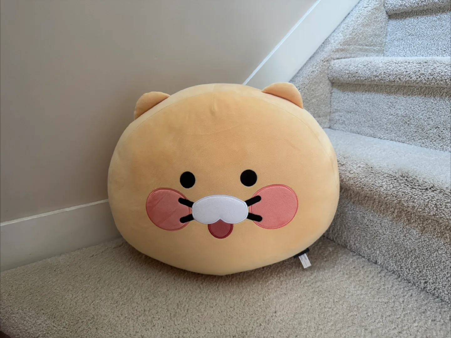 Chunsik KAKAO FRIENDS Face Cushion thumbnail