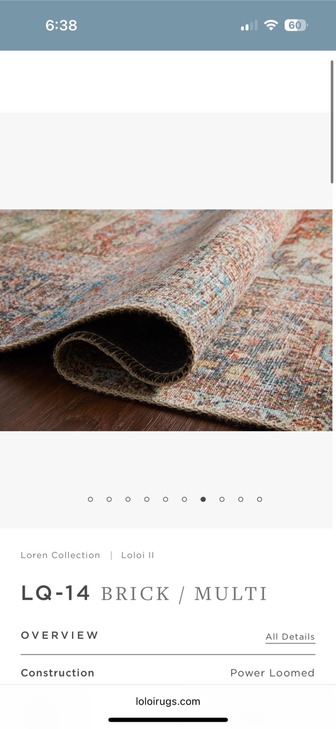 Large Loloi Area Rug