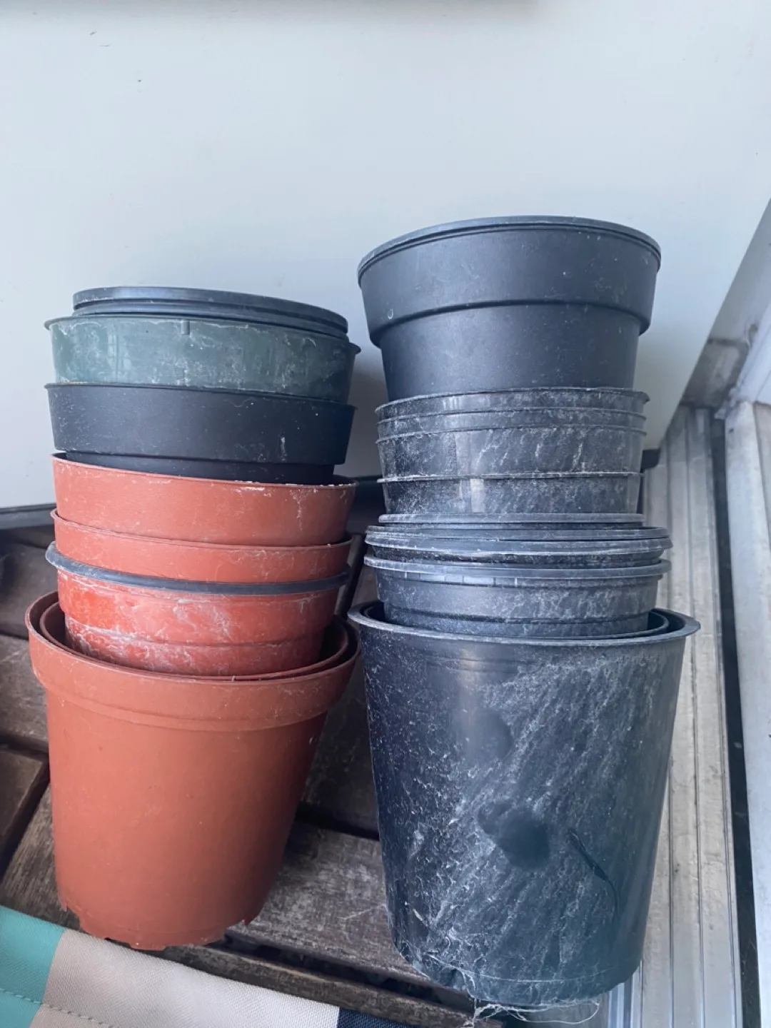 Plastic Plant Pots - Assorted Sizes & Colors 🇨🇦 thumbnail