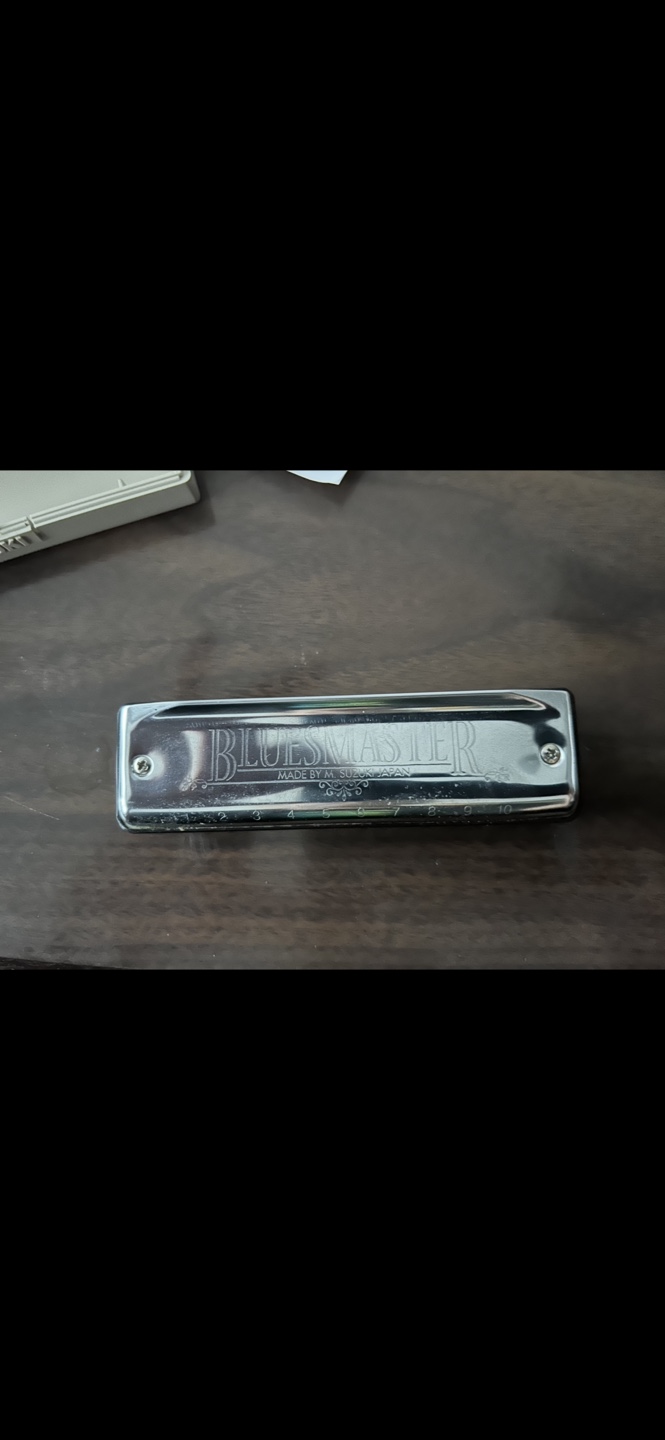 Suzuki Bluesmaster Harmonica with Case - photo 2