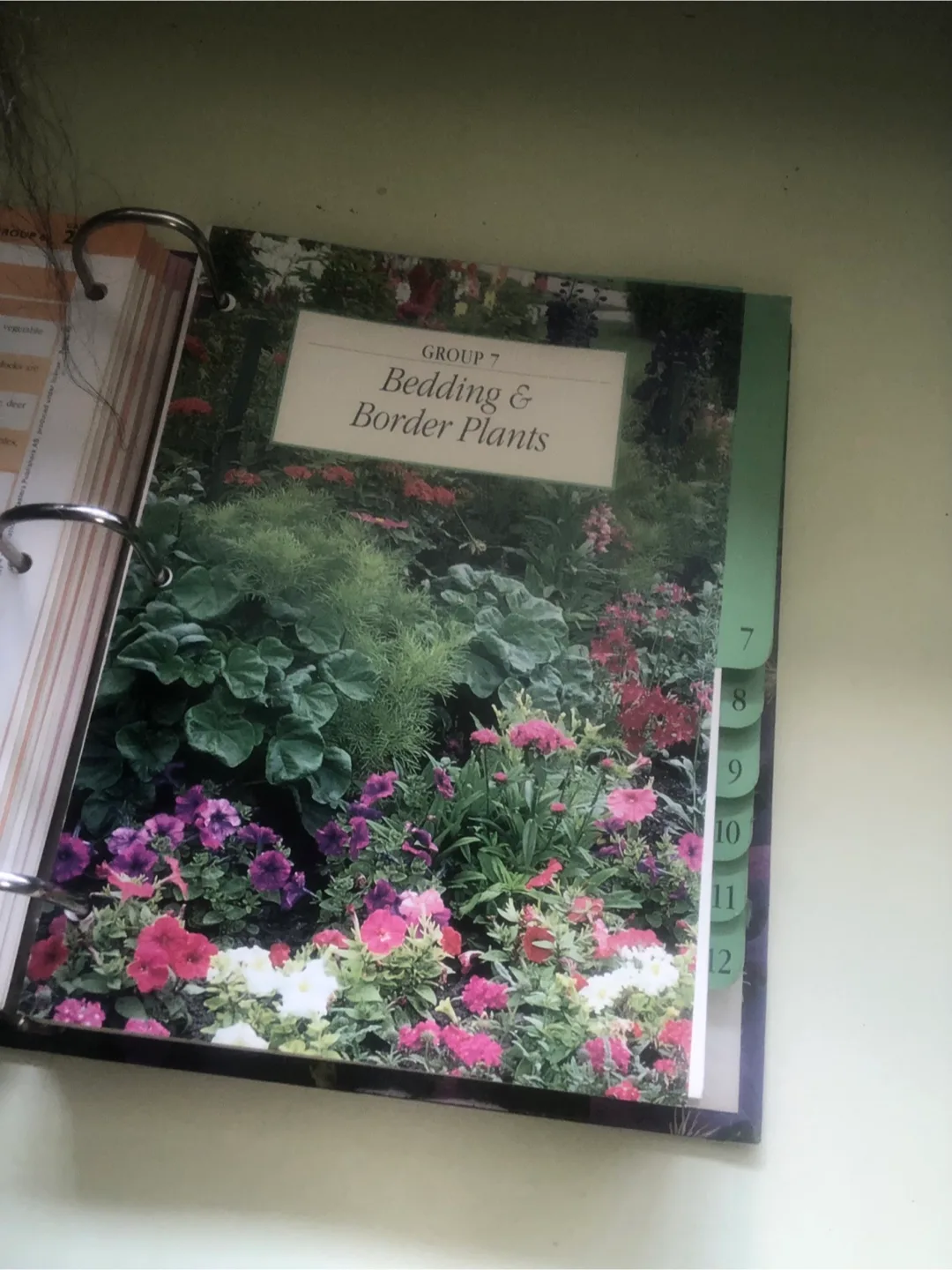 NEW Excellent Gardening Book beautiful photographed pictures image indicator(5)
