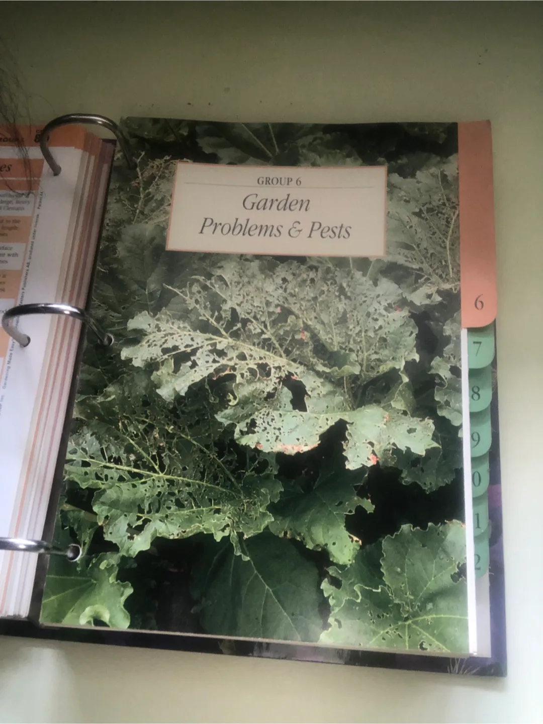 NEW Excellent Gardening Book beautiful photographed pictures image indicator(6)