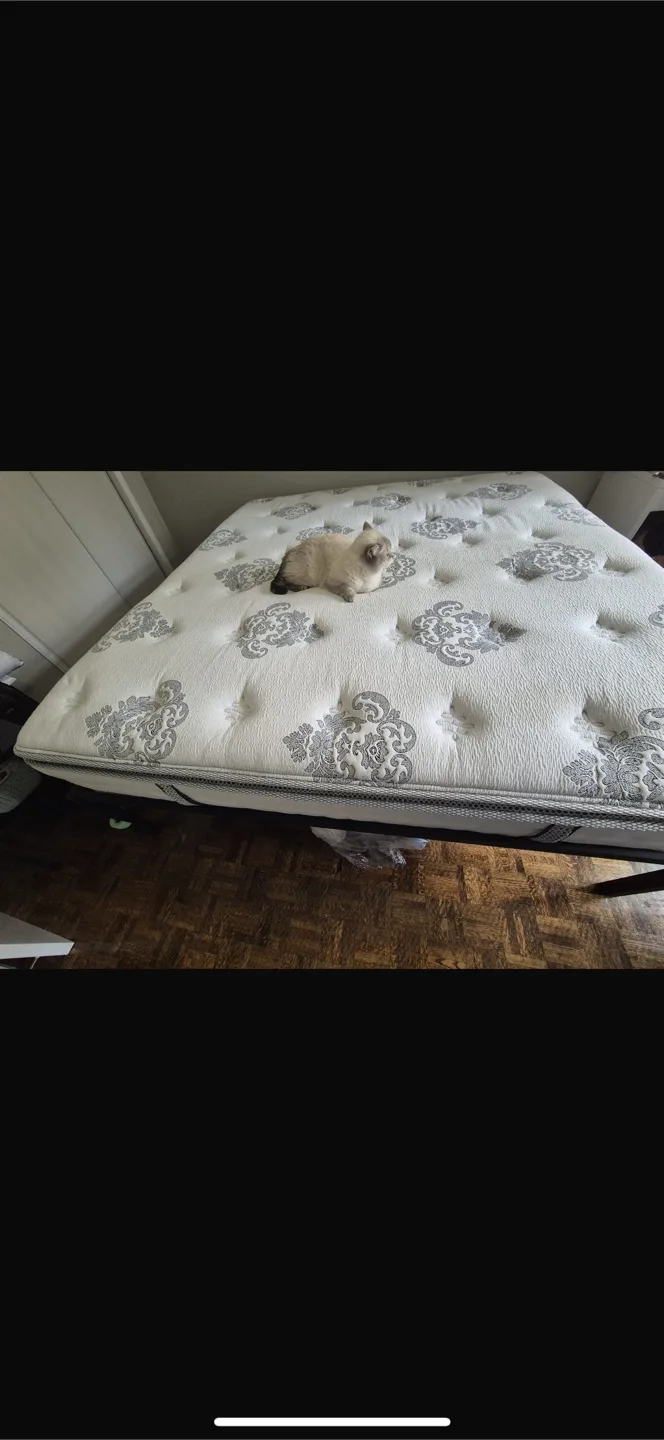 Mattress plus stand thumbnail