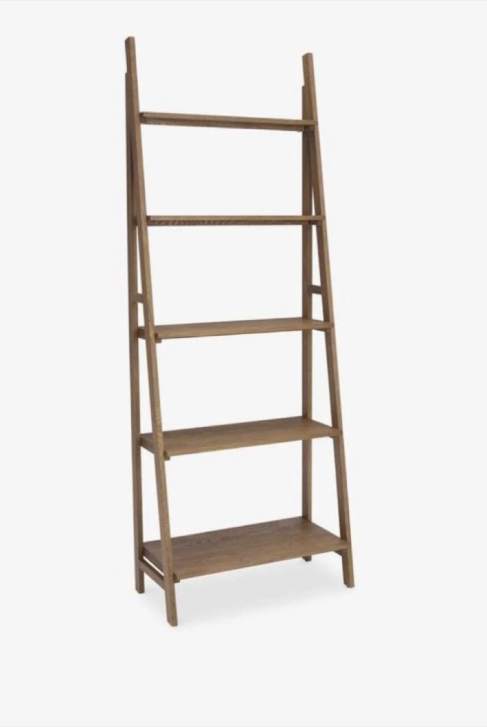 Ogden Leaning Ladder Bookcase