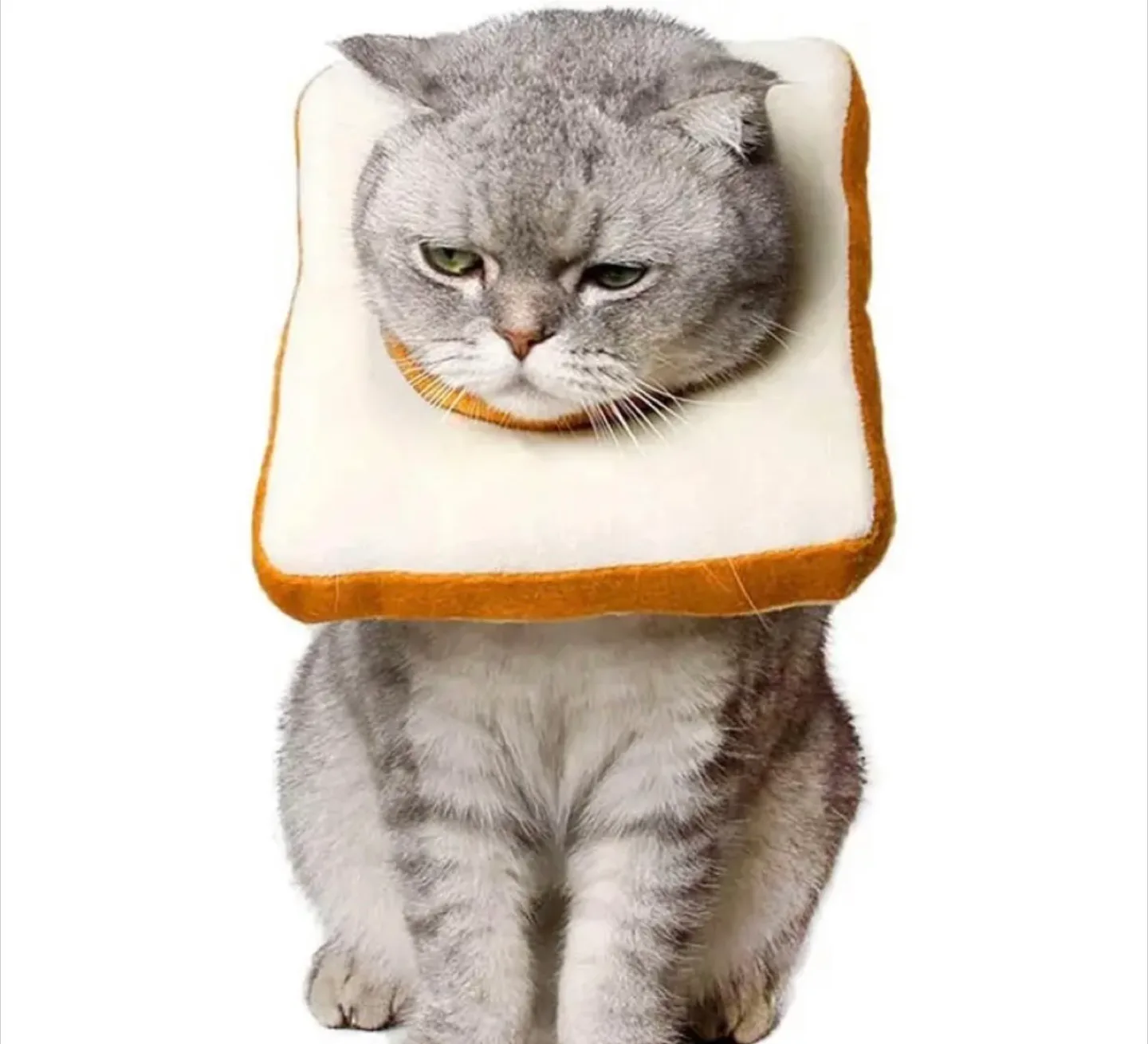 Cat Bread Slice Recovery Collar thumbnail