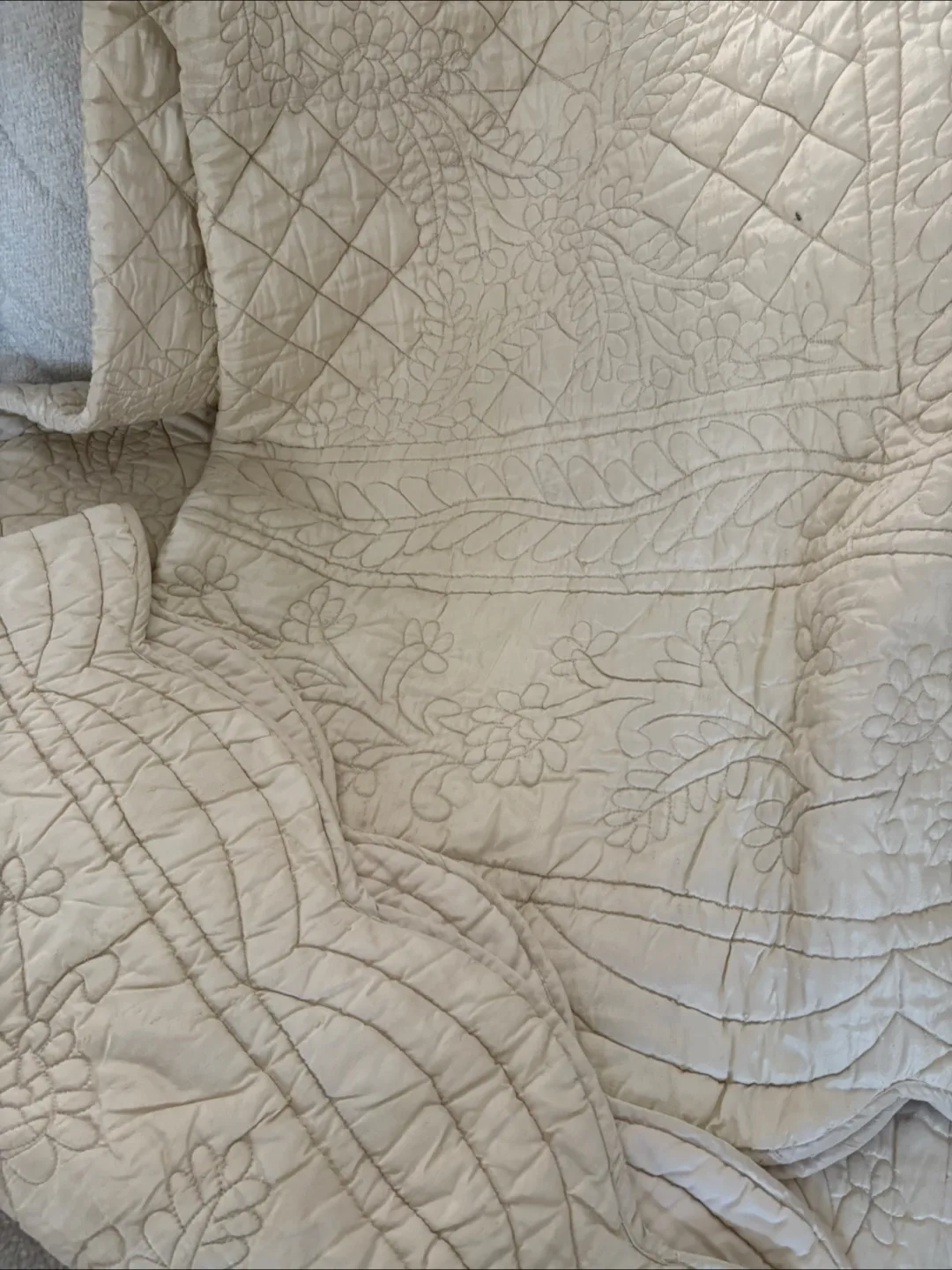 Bombay Company King Size Coverlet & 2 Standard Shams (cream) image indicator(6)