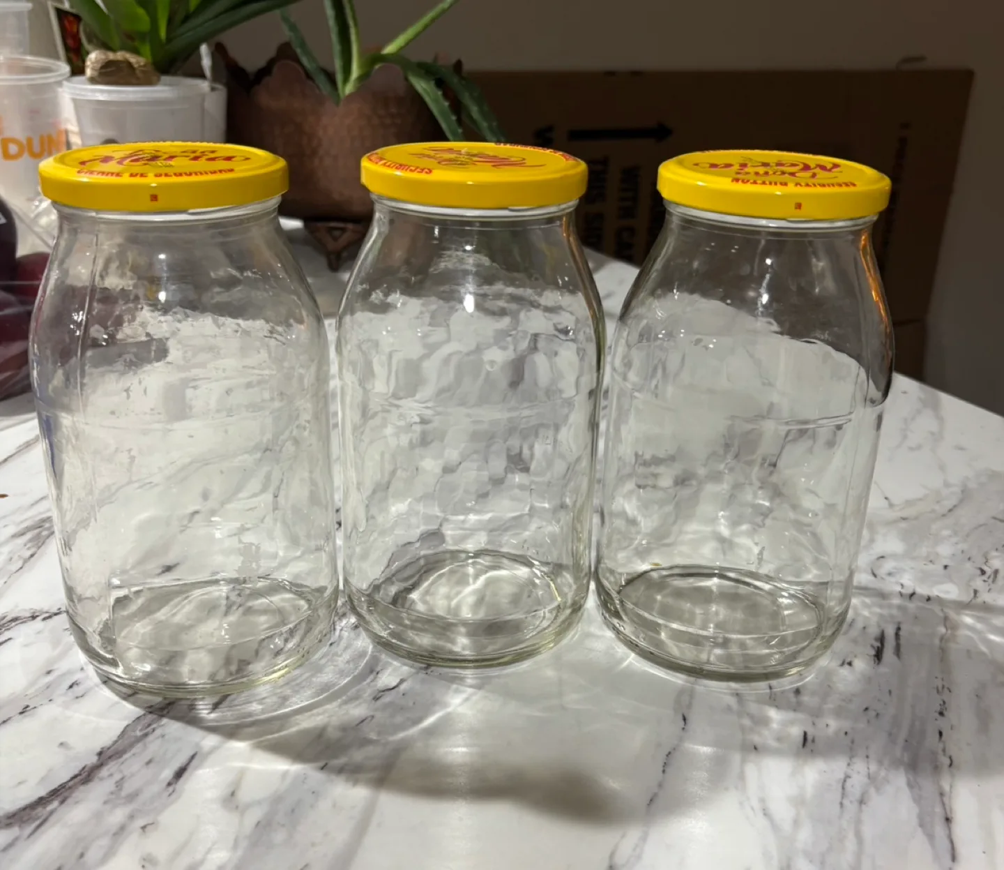 🥕Dona Maria Glass Storage Jars thumbnail