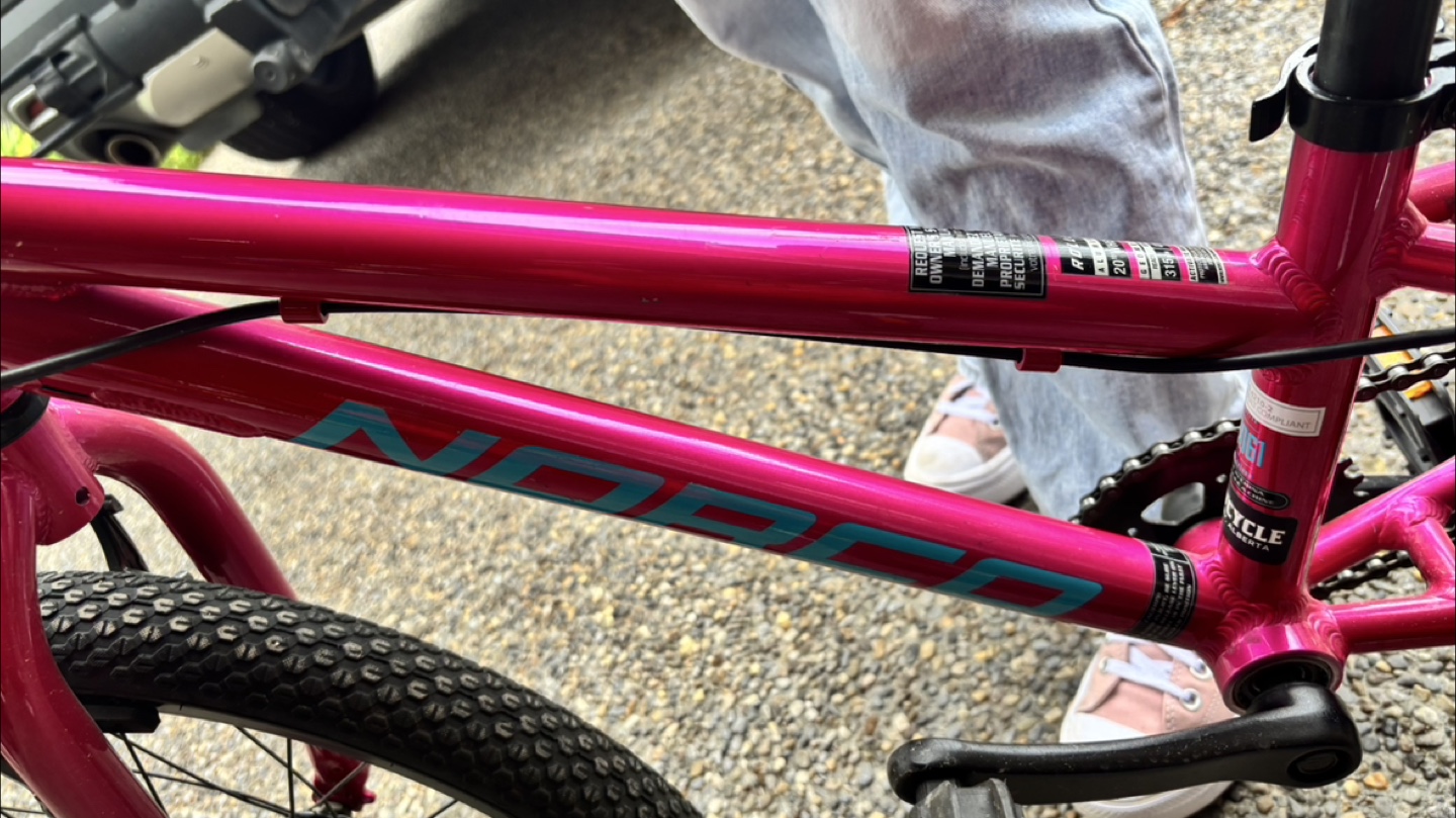 Kids Norco Roller 20" Wheels Bike - Pink - photo 3
