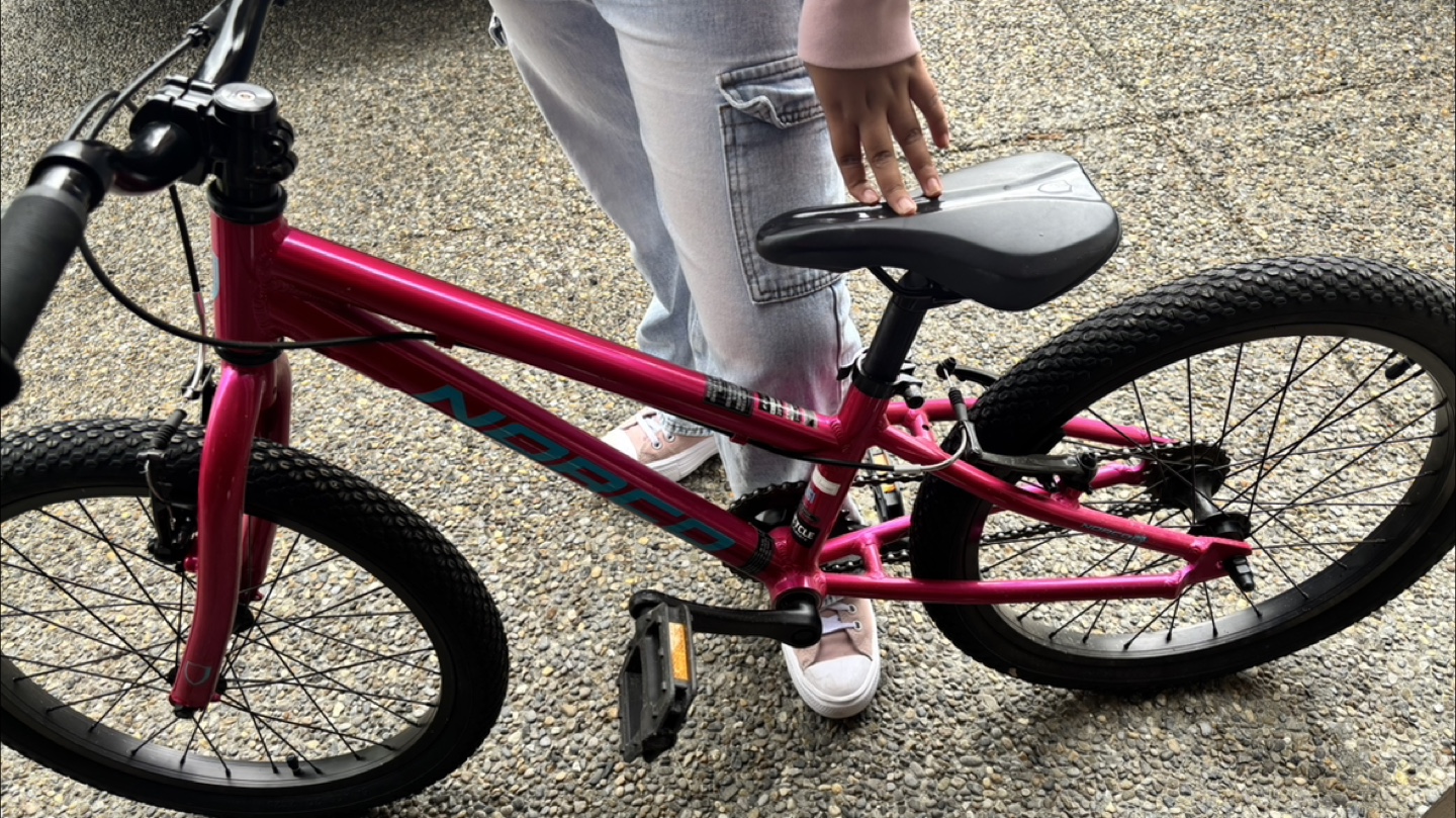 Kids Norco Roller 20" Wheels Bike - Pink