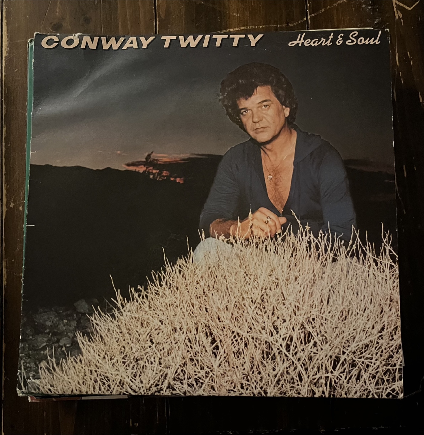 Lot of Vintage Vinyl Records - photo 5