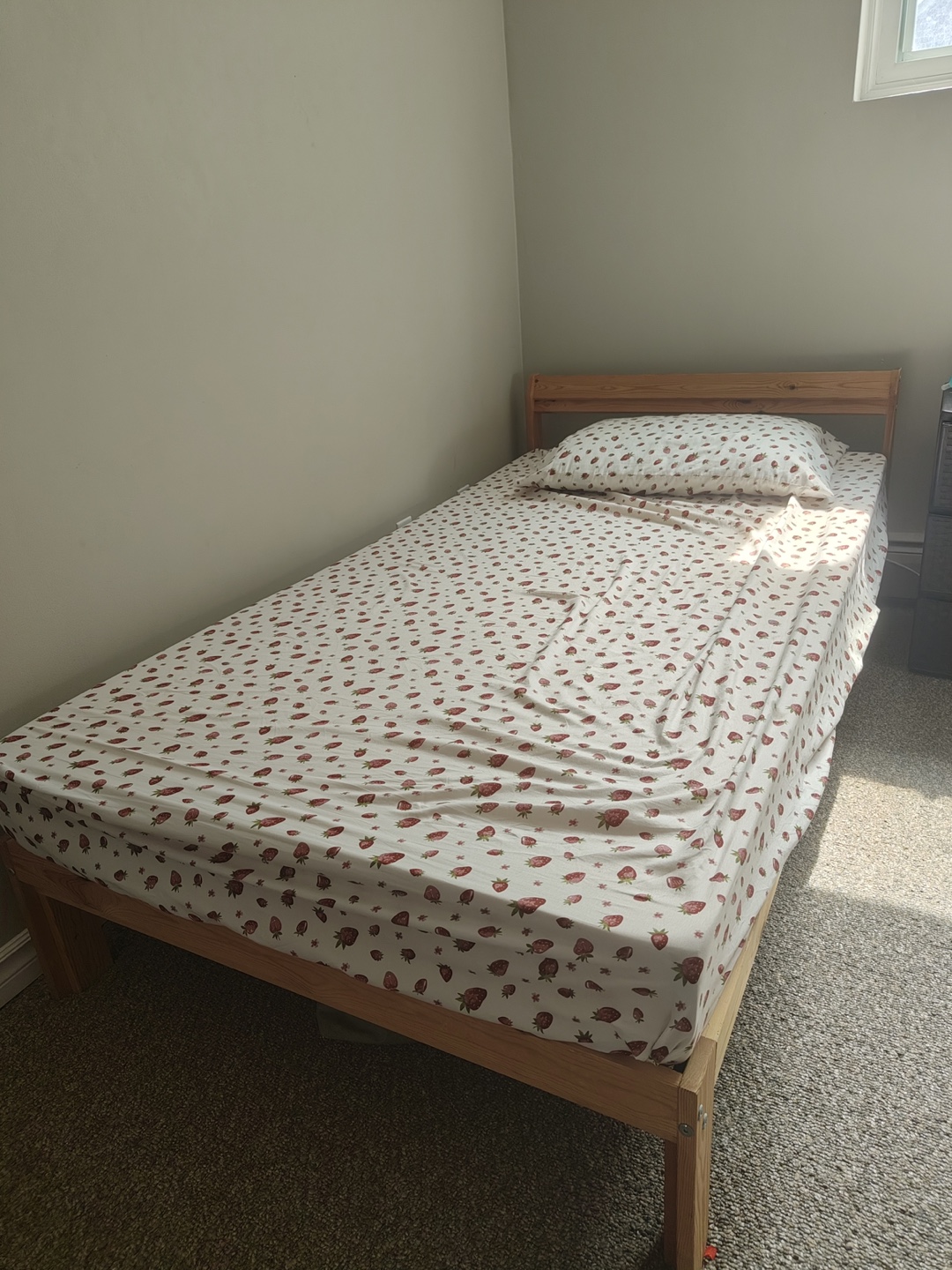 Free Twin Bed Frame $ Mattress(Pet &Smoking Free)
