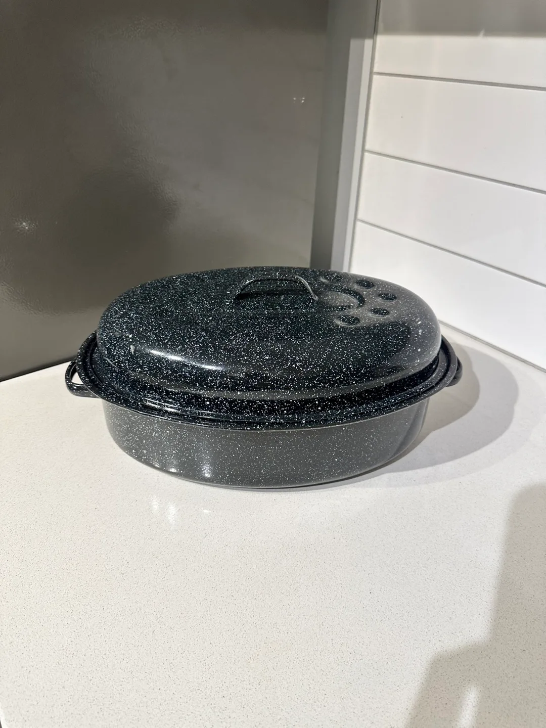 Black Speckled Roasting Pan with Lid thumbnail