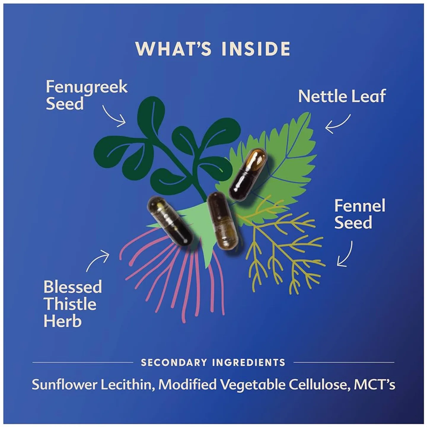 Motherlove More Milk Plus Breastfeeding Supplement image indicator(4)
