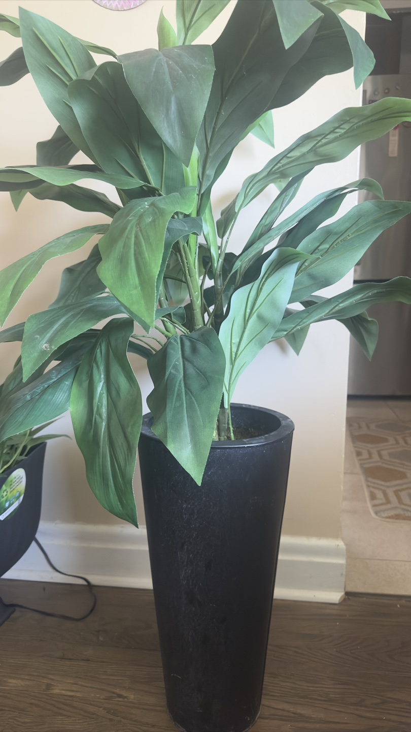 Faux Plant in Black Pot