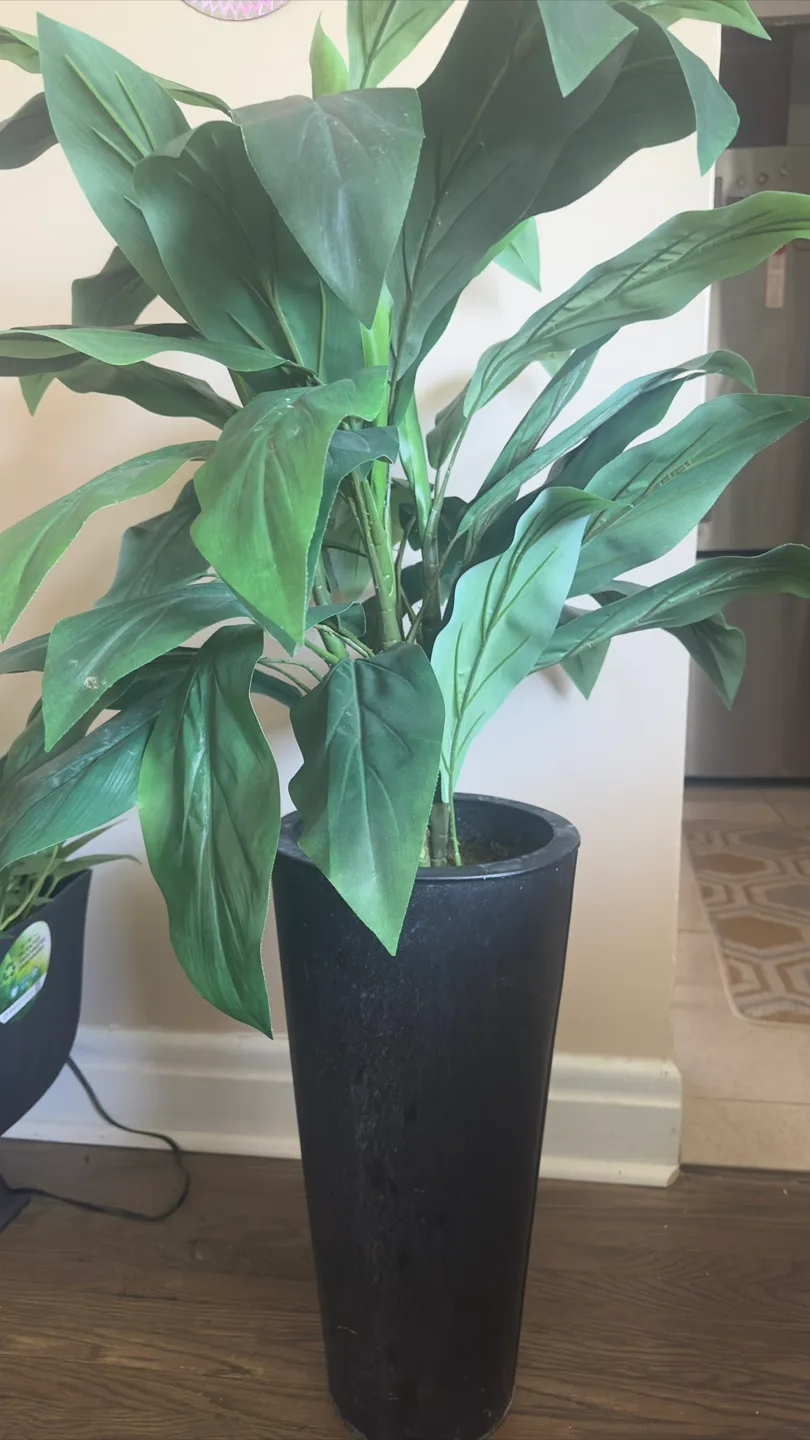 Faux Plant in Black Pot thumbnail