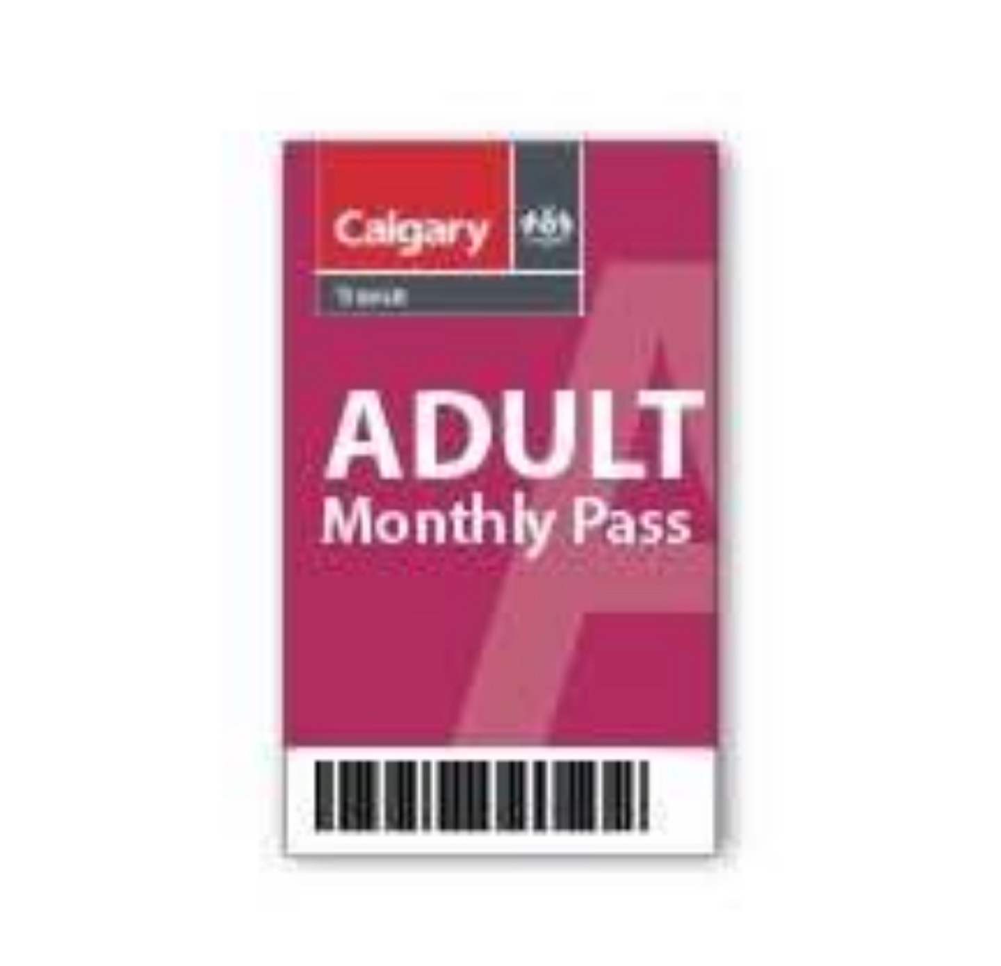 Calgary Transit Adult Monthly Pass- August