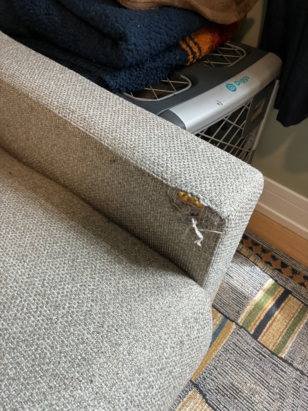Crate & Barrel Sleeper Sofa - photo 2