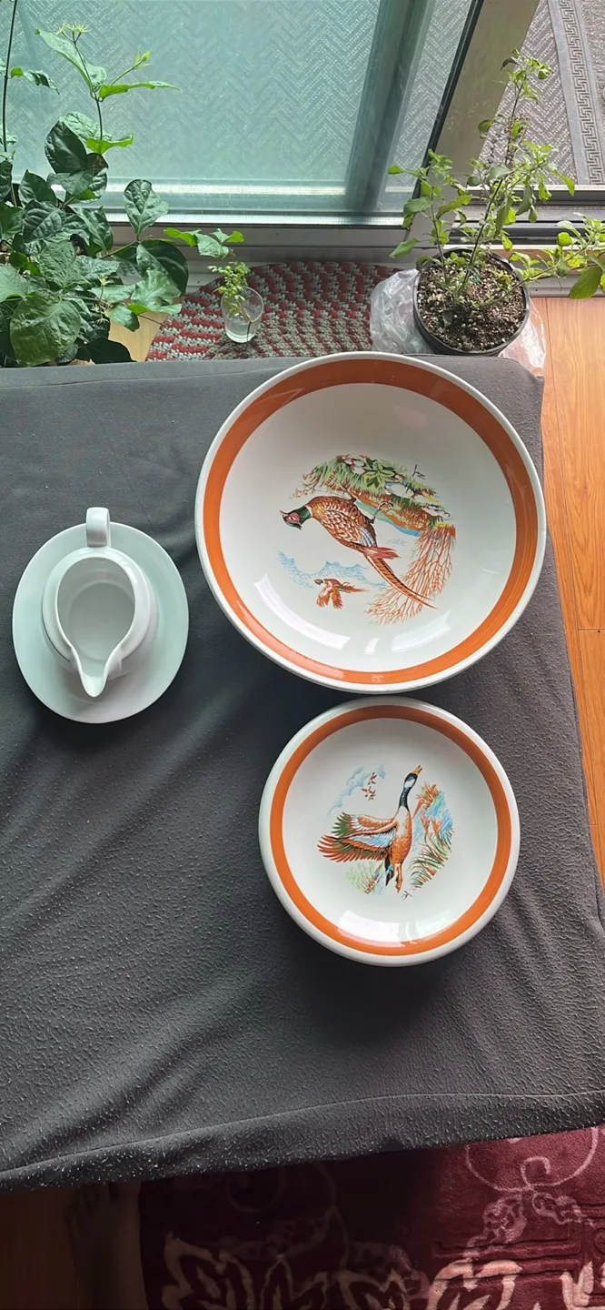 Vintage Royal China Sebring Ohio Dishes thumbnail