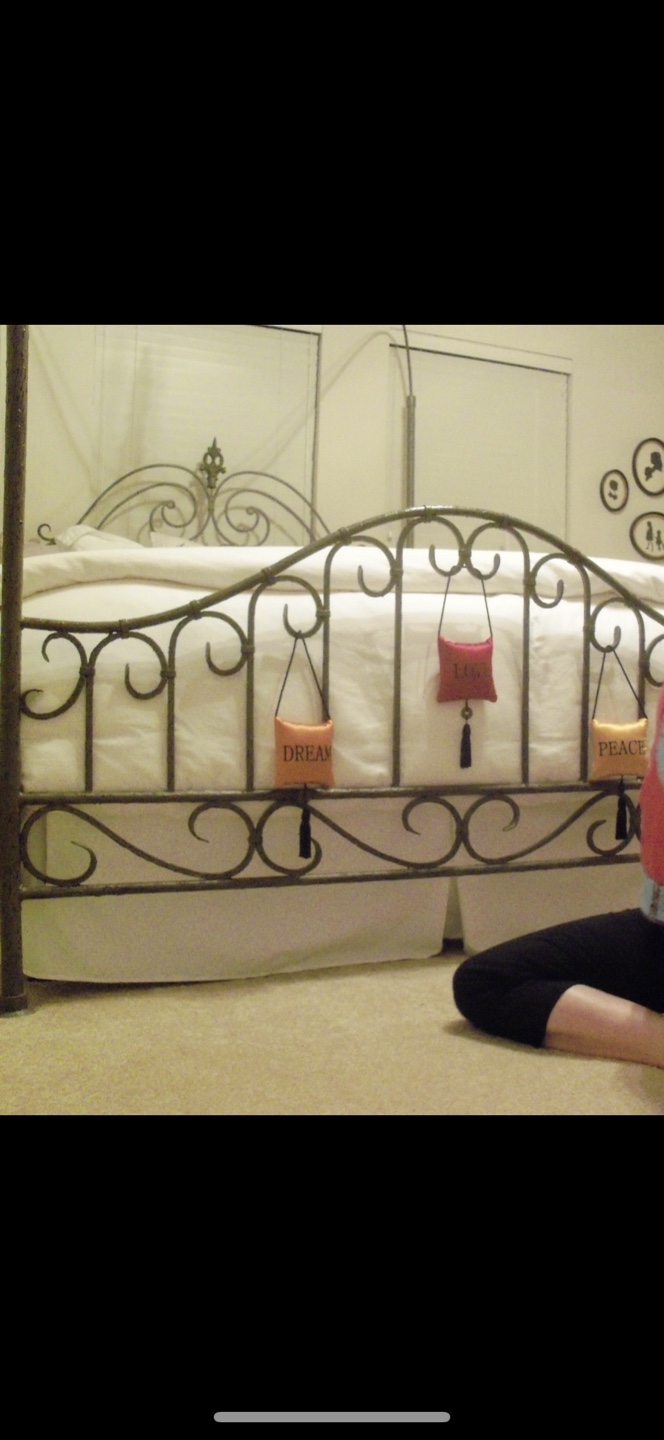 Metal Canopy Bed Frame - photo 2