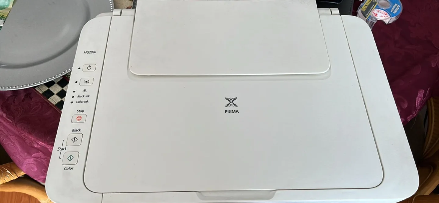 Canon PIXMA MG2920 All-in-One Printer thumbnail