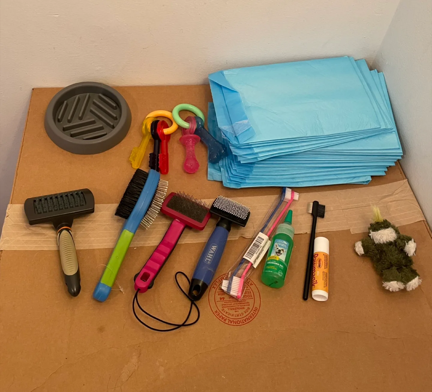 Dog/Puppy Supplies Lot thumbnail
