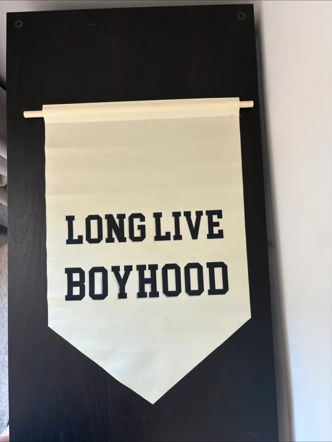 Long Live Boyhood Pennant thumbnail