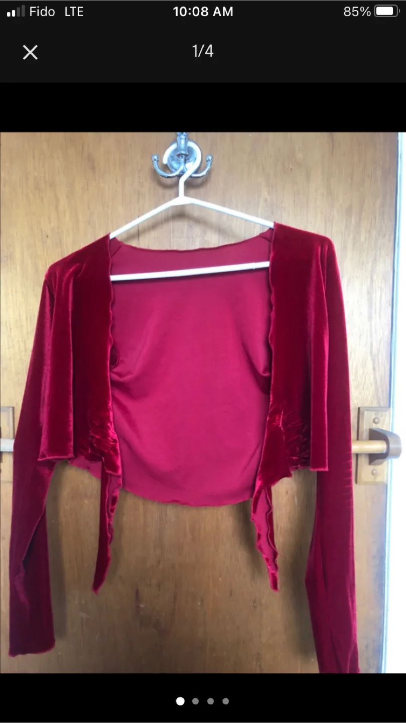 Dresswright On Ice Red Velvet Top Size 12 thumbnail