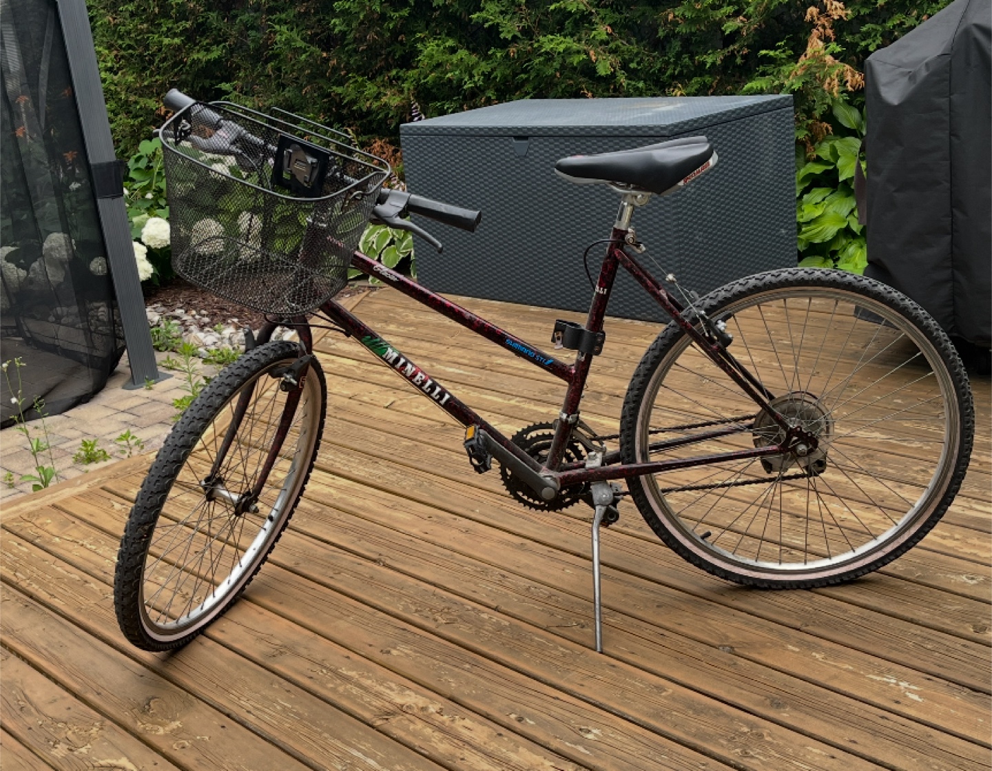 Minelli Glacier Mountain Bike - photo 3