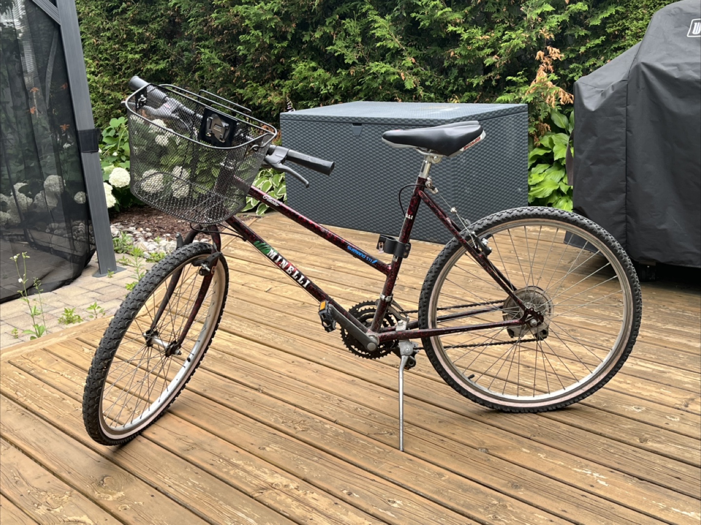 Minelli Glacier Mountain Bike