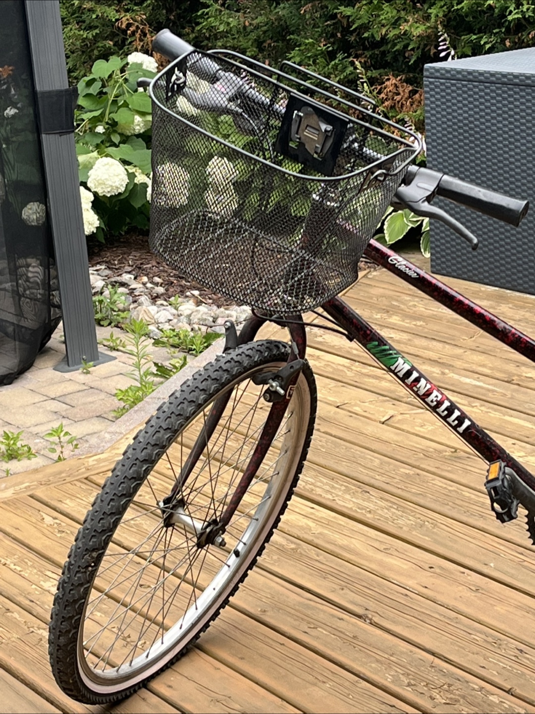 Minelli Glacier Mountain Bike - photo 2