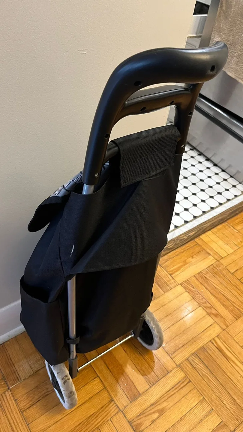 Moving out sale: Shopping Cart Trolley Bag - Black image indicator(4)