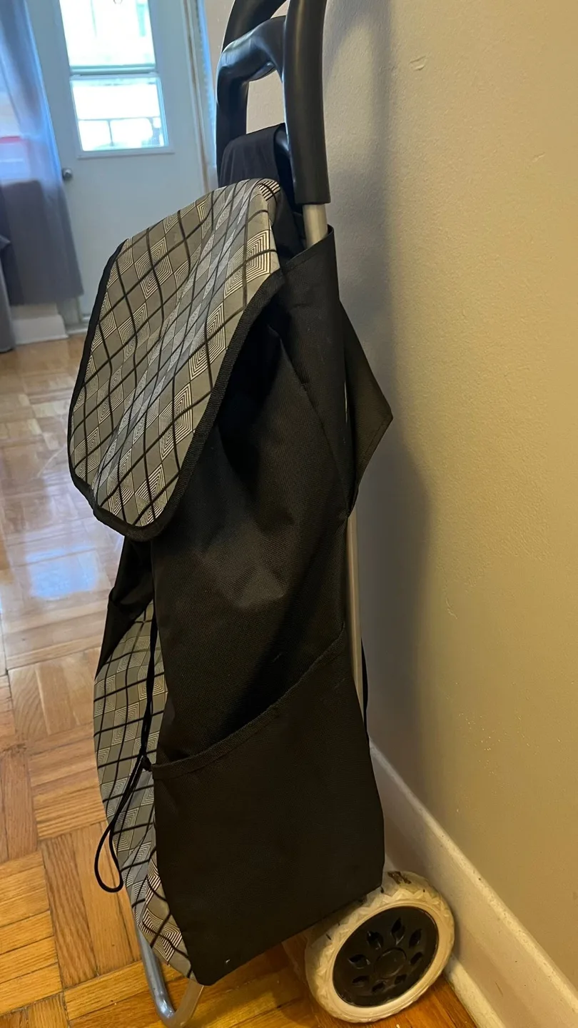 Moving out sale: Shopping Cart Trolley Bag - Black image indicator(2)