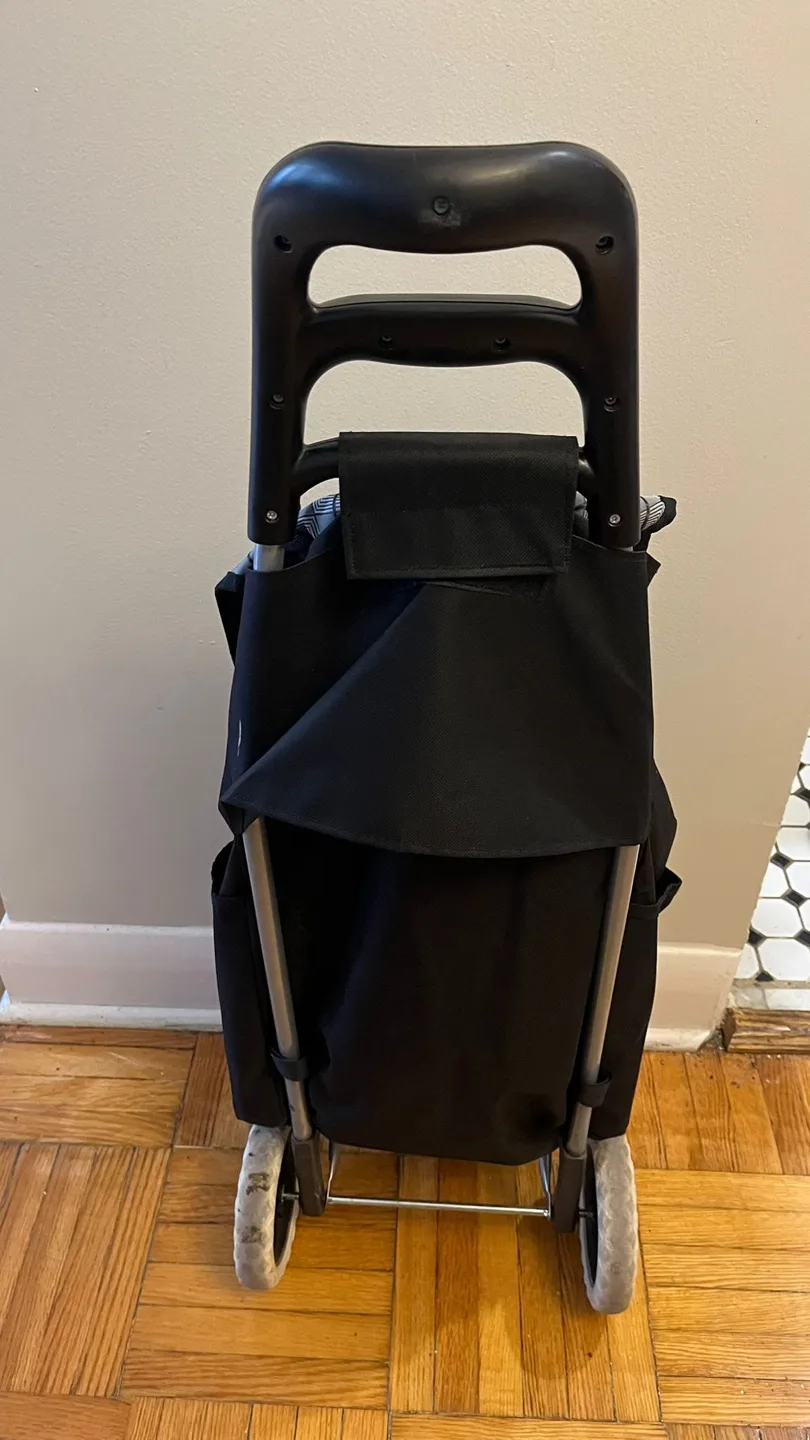Moving out sale: Shopping Cart Trolley Bag - Black image indicator(3)