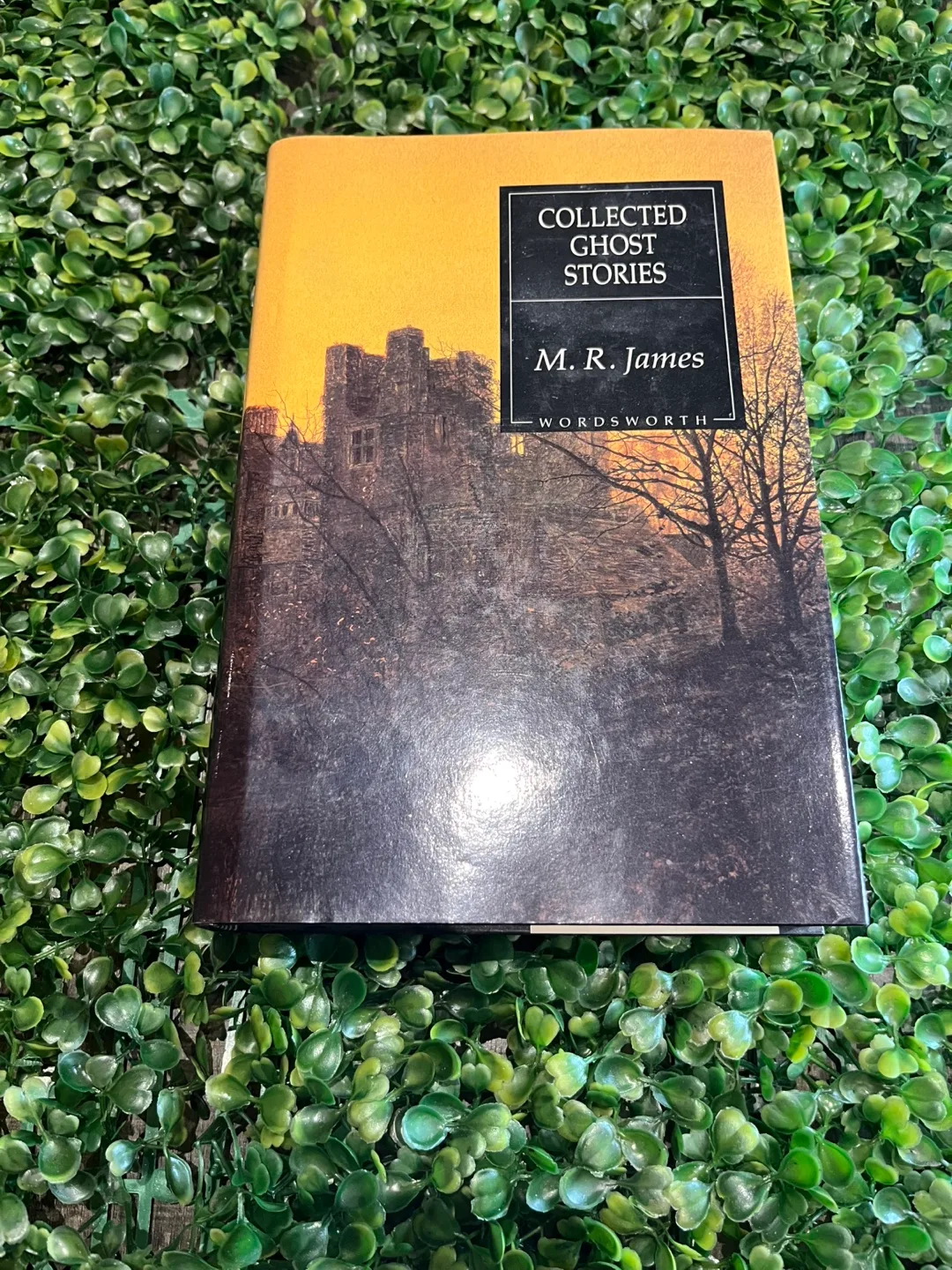 Collected Ghost Stories thumbnail