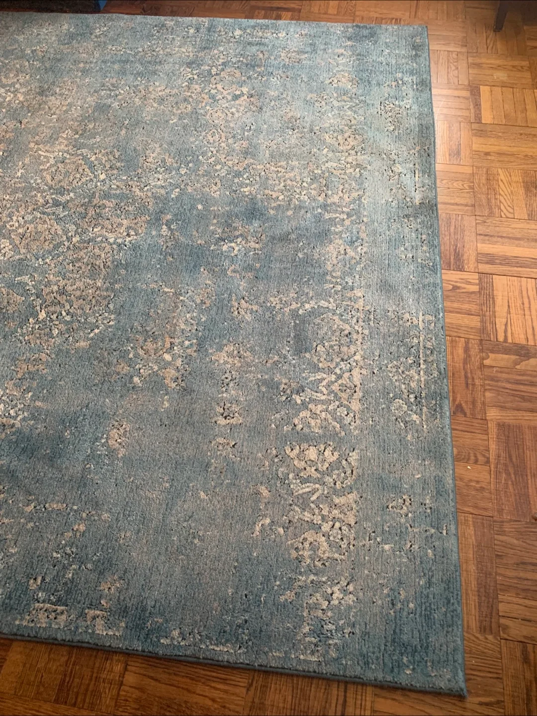 Blue Rug (7'10" x 10'6") image indicator(3)