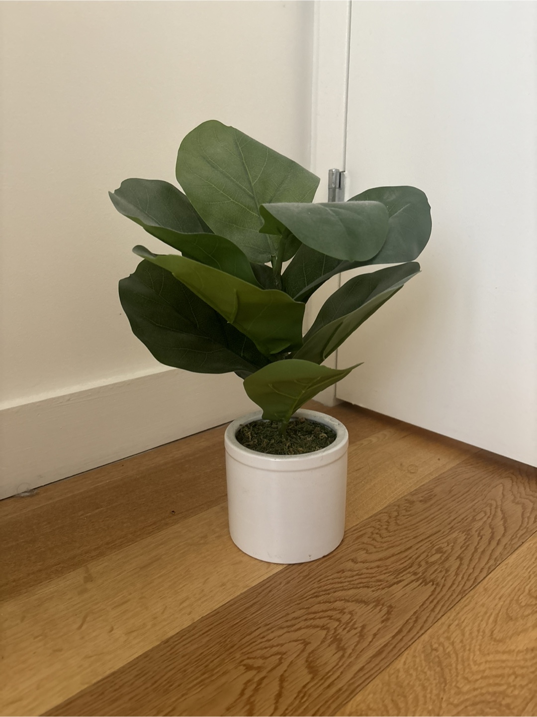 Faux Fiddle Leaf Fig Plant