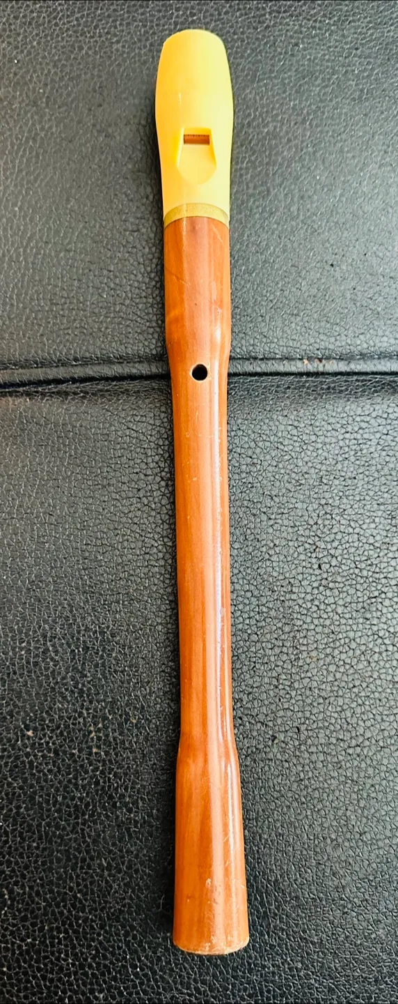 Hohner Recorder - Made in Germany image indicator(2)