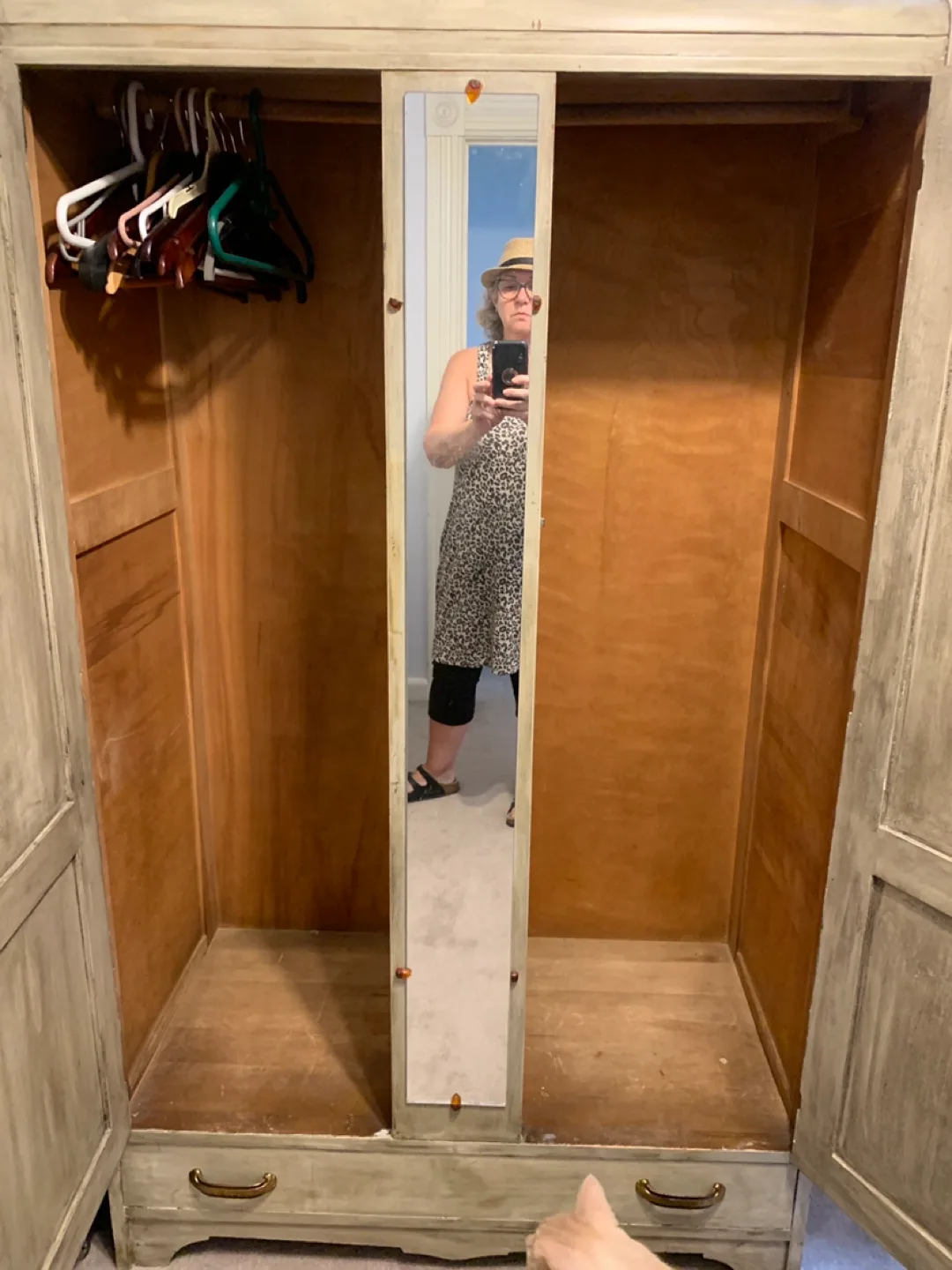 Vintage-Style Wardrobe with Mirror image indicator(2)