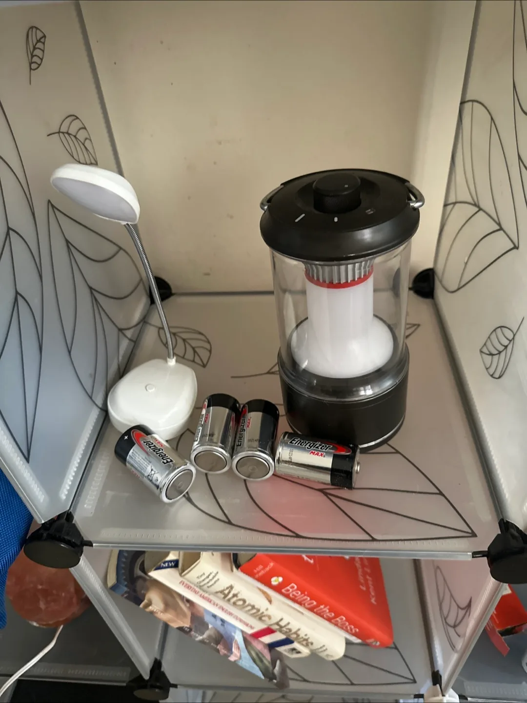 Energizer MAX Batteries & Coleman Lantern thumbnail